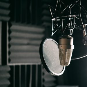 کارگاه حضوری مخصوص هنرجویان دوره VIP صداسازی